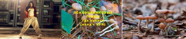 марихуана Алзамай