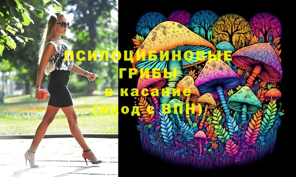 бошки Алексин