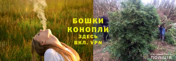 бошки Алексин