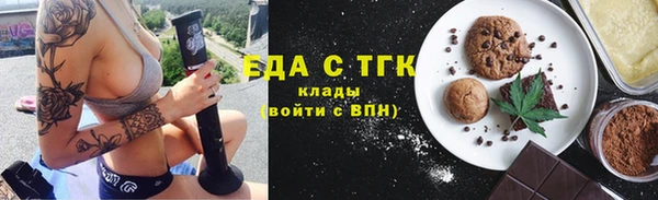 индика Бикин