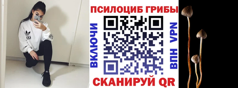 Псилоцибиновые грибы Psilocybe Нытва